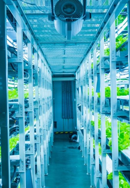 smart-grow-farms57